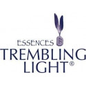 Comprar online TREMBLING LIGHT LLAVE DE LA INOCENCIA 15 ML - Coliseum