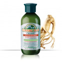 CORPORE SANO CHAMPU ANTICAIDA TRIGO SOJA GINSENG ALOE 300CC