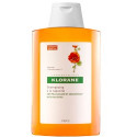 KLORANE CHAMPU CAPUCHINA 200ML