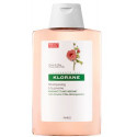 KLORANE CHAMPU PEONIA 200ML