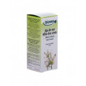 ALLIUM URSINUM (AJO SILVESTRE) TM BIO 50 BIOVER