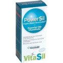 POWERSIL GEL 225ML DEXSIL