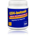 GSN ISO TONIC LIMON 480 G GSN
