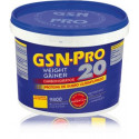GSN PRO 20 CHOCOLATE 2,5KG GSN