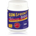 GSN SPRINT 500 G GSN