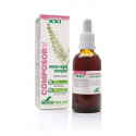 COMPOSOR 31 XXI MENOREGUL COMPLEX 50 CC SORIA NATURAL