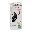 ELIXIR 6 YIN ESTOMAGO PANREAS MELISA 50CC 5 SAISONS