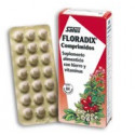 FLORADIX 84 COMP. SALUS