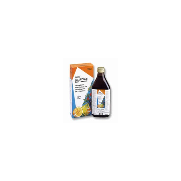 SALUDYNAM (CA+MG) 250 ML. SALUS