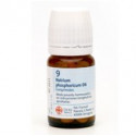 NATRIUM PHOSPHOR 80 N 9 COMP 250 MG SCHWABE-SS