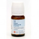 CALCIUM SULFURICUM N 12 80 COMP 250 MG SCHWABE-SS