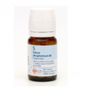 KALIUM PHOSPHORICUM N 5 80 COMP 250 MG SCHWABE-SS