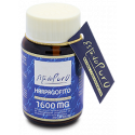 HARPAGOFITO 1600 MG 30 CAP ESTADO PURO TONGIL