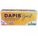 GEL DAPIS 40 G BOIRON
