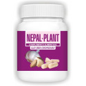 NEPALPLANT AJO DESODORIZADO 60 CAP NEPAL