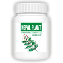 NEPALPLANT UÑA DE GATO 120 CAP NEPAL