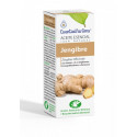 JENGIBRE O.E 10 ML ESENTIAL AROMS INTERSA