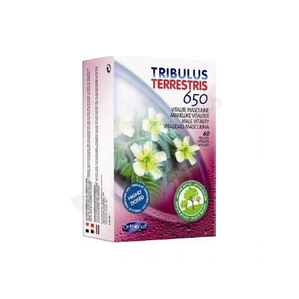 TRIBULUS TERRESTRIS 60 CAP ORTHONAT