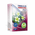TRIBULUS TERRESTRIS 60 CAP ORTHONAT