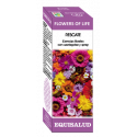 FLOWERS OF LIFE RESCATE 15 ML EQUISALUD
