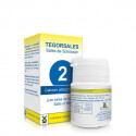 BIOSAL Nº 2 CALCIUM PHOSPHORICUM 350 COMP TEGOR