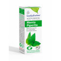 MENTA PIPERITA O.E. 10CC ESENTIAL AROMS INTERSA