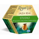 ROYAL VIT STUDIO 20 AMP DIETISA