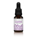 FINDHORN ELECAMPANE (HELENIO) 15 ML