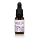 FINDHORN REINDEER LINCHEN (LIQUEN) 15 ML