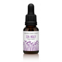 FINDHORN SEA HOLY (ERINGIO MARITIMO) 15 ML