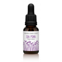 FINDHORN SEA PINK (ARMENIA MARITIMA) 15 ML