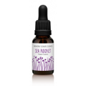 FINDHORN SEA ROCKET (RUCA DE MAR) 15ML