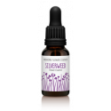 FINDHORN SILVERWEED (POTENTILLA) 15 ML