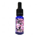 TRIUNIDAD ACHICORIA 15 ML