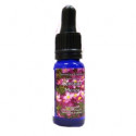 TRIUNIDAD CENTAURA MENOR 15 ML