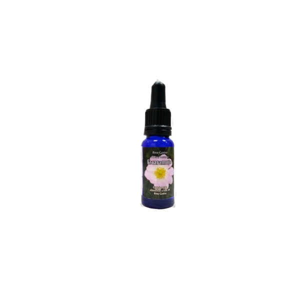 TRIUNIDAD ESCARAMUJO 15 ML