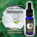 TRIUNIDAD ESTRAMONIO 15 ML