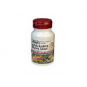 ARA LARIX OLIVE LEAF (ALERCE+OLIVO) 30 COMP NATURE'S PLUS