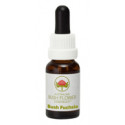 E.F. BUSH FUCHSIA 15 ML.