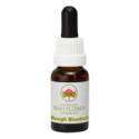E.F. ROUGH BLUEBELL 15 ML