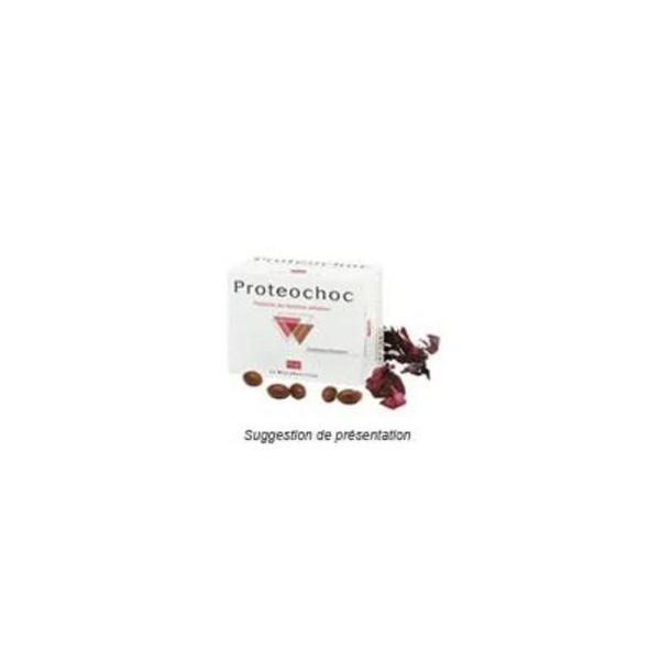 PROTEOCHOC 36 CAPS PILEJE