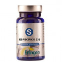 BASE 235 ESPECIFICA 60 COMP ERLINGEN