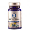 BASE 236 ESPECIFICA 60 COMP ERLINGEN