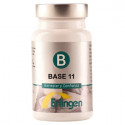 BASE 11 60 COMP ERLINGEN