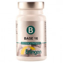BASE 16 DEFINIDA 60 COMP ERLINGEN