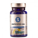 BASE 299 ESPECIFICA 60 COMP ERLINGEN