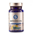 BASE 37D ESPECIFICA 60 COMP ERLINGEN