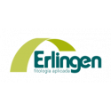 BASE 411B ESPECIFICA 60 COMP ERLINGEN