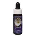E.F. ALMOND 7,5 ML. FES CALIFORNIA