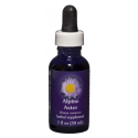 E.F. ALPINE ASTER 30 ML. FES CALIFORNIA